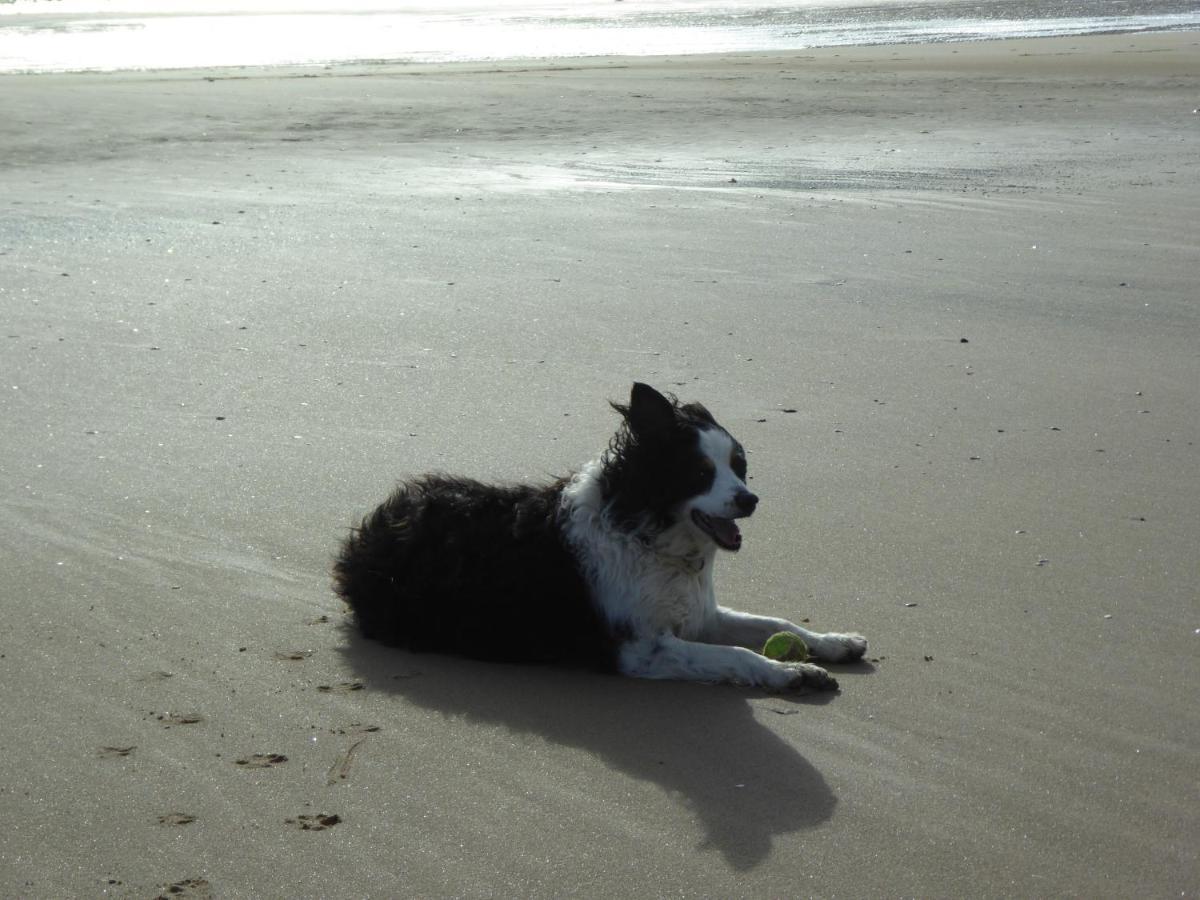 Bridlington'S Bolt Hole Chalet Kültér fotó